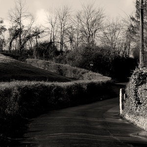 Route sinueuse dans la campagne, prairie, haies et arbres en noir et blanc - Belgique  - collection de photos clin d'oeil, catégorie paysages